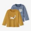 Pack Of 2 Basic Tops With Animal Motif & Stripes For Babies - Grey Blue 1 Pack Of 2 Basic Tops With Animal Motif & Stripes For Babies - Grey Blue -PETIT BATEAU Sales Store pack of 2 basic tops with animal motif stripes for babies
