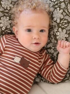 Pack Of 2 Long Sleeve Tops, For Babies - Brown Medium 2 Color/multicol 11 Pack Of 2 Long Sleeve Tops, For Babies - Brown Medium 2 Color/multicol -PETIT BATEAU Sales Store pack of 2 long sleeve tops for babies 1