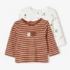 Pack Of 2 Long Sleeve Tops, For Babies - Brown Medium 2 Color/multicol -PETIT BATEAU Sales Store pack of 2 long sleeve tops for babies