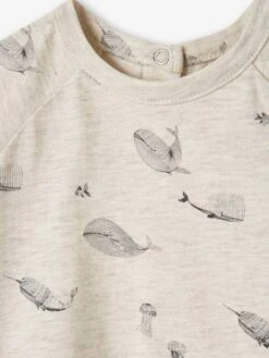 Pack Of 2 Long Sleeve Tops, For Babies - Beige Medium Two Colors/multic -PETIT BATEAU Sales Store pack of 2 long sleeve tops for babies 20