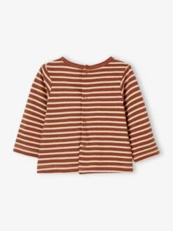 Pack Of 2 Long Sleeve Tops, For Babies - Brown Medium 2 Color/multicol 16 Pack Of 2 Long Sleeve Tops, For Babies - Brown Medium 2 Color/multicol -PETIT BATEAU Sales Store pack of 2 long sleeve tops for babies 6