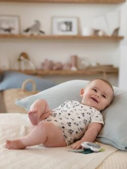 Pack Of 3 "Palm Tree" Bodysuits For Newborn Babies - Orange Dark 2 Color/multicol -PETIT BATEAU Sales Store pack of 3 palm tree bodysuits for newborn babies 7