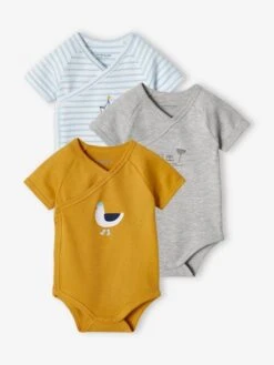 Pack Of 3 Seagull Bodysuits For Newborn Babies - Mustard