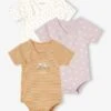 Pack Of 3 Short Sleeve Bodysuits For Newborn Babies - Lilac 2 Pack Of 3 Short Sleeve Bodysuits For Newborn Babies - Lilac -PETIT BATEAU Sales Store pack of 3 short sleeve bodysuits for newborn babies