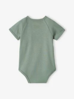 Pack Of 3 Short Sleeve Bodysuits For Newborn Babies - Aqua Green -PETIT BATEAU Sales Store pack of 3 short sleeve bodysuits for newborn babies 24