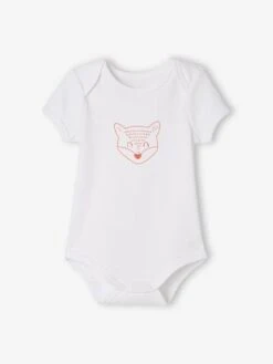 Pack Of 5 «Animals» Bodysuits, Short Sleeves, Full-Length Opening, For Babies - White Light Two Color/multicol 15 Pack Of 5 «Animals» Bodysuits, Short Sleeves, Full-Length Opening, For Babies - White Light Two Color/multicol -PETIT BATEAU Sales Store pack of 5 animals bodysuits short sleeves full length opening for babies 4