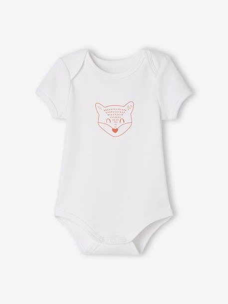 Pack Of 5 «Animals» Bodysuits, Short Sleeves, Full-Length Opening, For Babies - White Light Two Color/multicol 7 Pack Of 5 «Animals» Bodysuits, Short Sleeves, Full-Length Opening, For Babies - White Light Two Color/multicol - Image 5