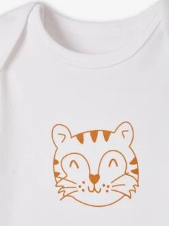 Pack Of 5 «Animals» Bodysuits, Short Sleeves, Full-Length Opening, For Babies - White Light Two Color/multicol 18 Pack Of 5 «Animals» Bodysuits, Short Sleeves, Full-Length Opening, For Babies - White Light Two Color/multicol -PETIT BATEAU Sales Store pack of 5 animals bodysuits short sleeves full length opening for babies 7