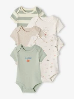 Pack Of 5 "Beach" Bodysuits With Cutaway Shoulders For Babies - Aqua Green