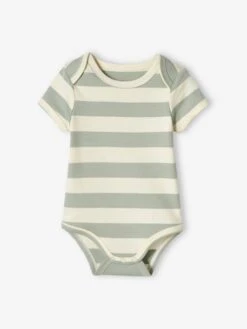 Pack Of 5 "Beach" Bodysuits With Cutaway Shoulders For Babies - Aqua Green -PETIT BATEAU Sales Store pack of 5 beach bodysuits with cutaway shoulders for babies 5