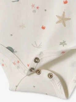 Pack Of 5 "Beach" Bodysuits With Cutaway Shoulders For Babies - Aqua Green -PETIT BATEAU Sales Store pack of 5 beach bodysuits with cutaway shoulders for babies 8