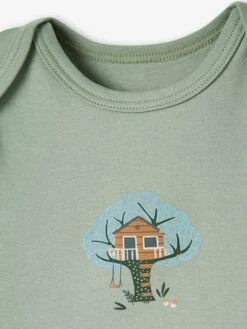 Pack Of 5 Long Sleeve Bodysuits With Cutaway Shoulders, For Babies - Green Dark 2 Color/multicolorr 19 Pack Of 5 Long Sleeve Bodysuits With Cutaway Shoulders, For Babies - Green Dark 2 Color/multicolorr -PETIT BATEAU Sales Store pack of 5 long sleeve bodysuits with cutaway shoulders for babies 7