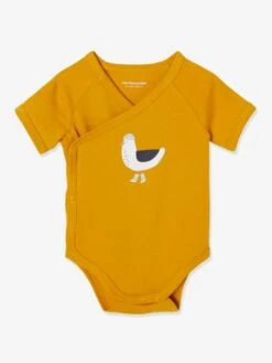 Pack Of 5 Short Sleeve Bodysuits, Seagull, Front Opening, For Newborn Babies - Dark Yellow 16 Pack Of 5 Short Sleeve Bodysuits, Seagull, Front Opening, For Newborn Babies - Dark Yellow -PETIT BATEAU Sales Store pack of 5 short sleeve bodysuits seagull front opening for newborn babies 4