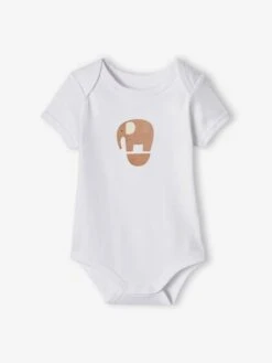 Pack Of 5 Short Sleeve "Elephant" Bodysuits For Babies - Ecru -PETIT BATEAU Sales Store pack of 5 short sleeve elephant bodysuits for babies 4