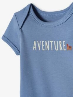 Pack Of 5 Short Sleeve "Elephant" Bodysuits For Babies - Ecru -PETIT BATEAU Sales Store pack of 5 short sleeve elephant bodysuits for babies 9