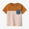 Short Sleeve Colourblock T-shirt, For Babies - Dark Green -PETIT BATEAU Sales Store short sleeve colourblock t shirt for babies